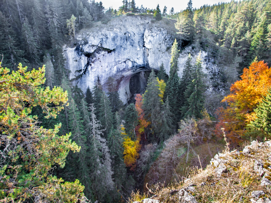 Alla scoperta dello Yosemite Park: dalle sequoie giganti alle cascate mozzafiato