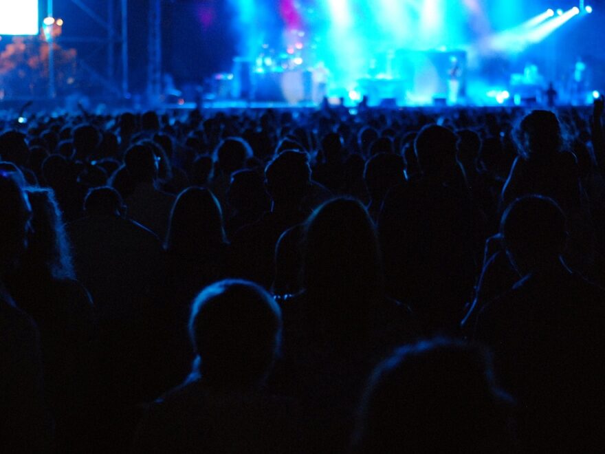 Cattolica e Riccione alla scoperta dei protagonisti del mare