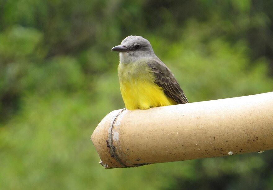 Parchi naturali del Salento